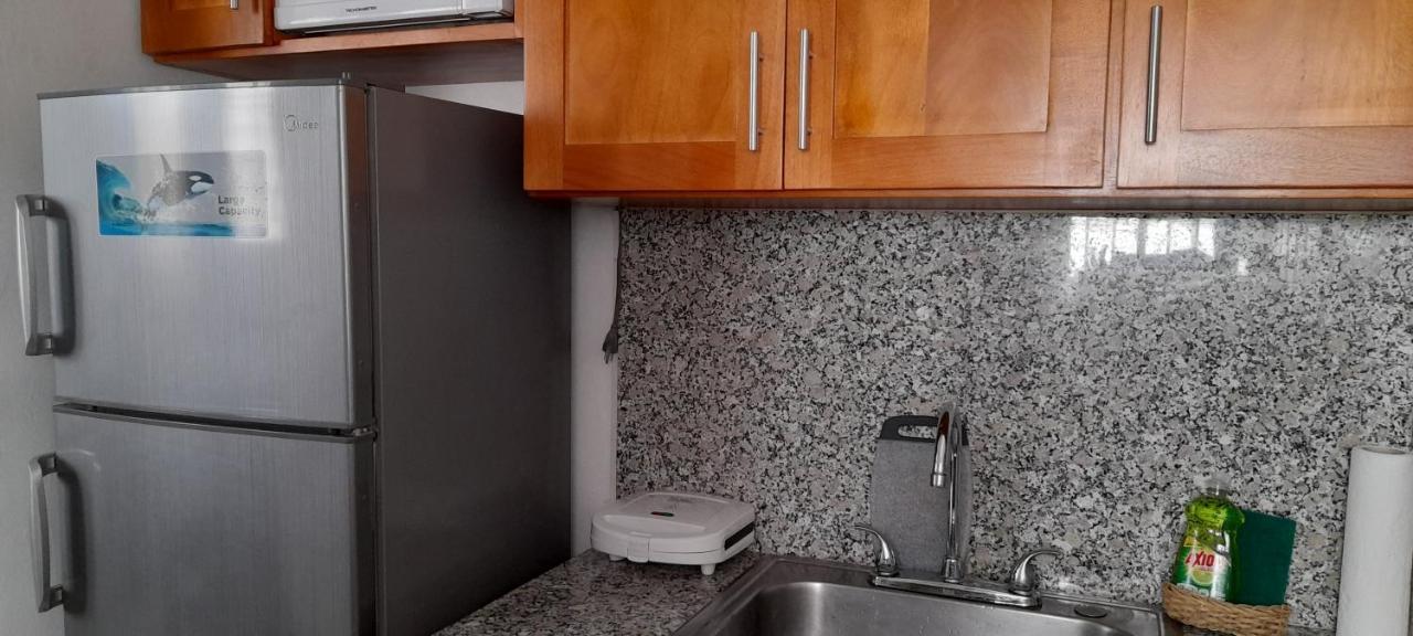 산티아고 데 로스 카바예로스 Residencial Palmas De Gurabo 아파트 외부 사진